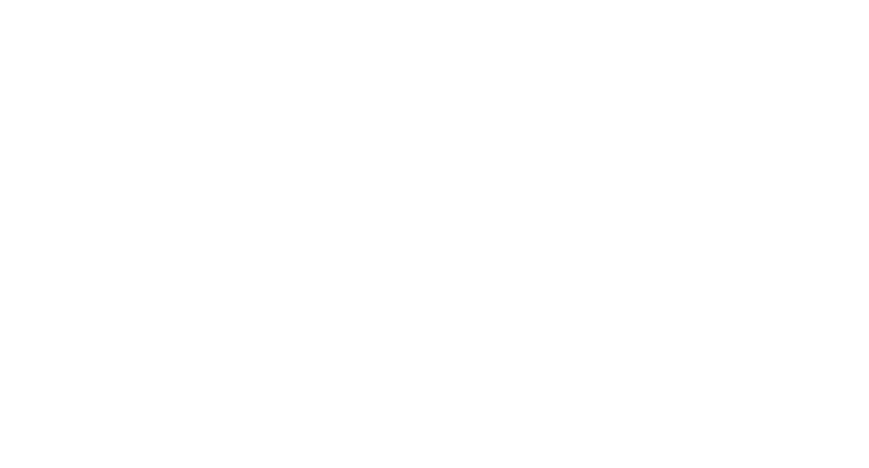 Sith Fortune Group